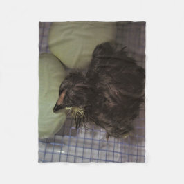 Manta Polar Minutos viejos