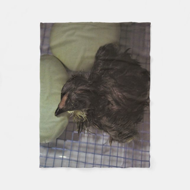 Manta Polar Minutos viejos (Anverso)