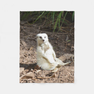 Manta Polar Modelo en lo salvaje: Meerkat blanco posando para