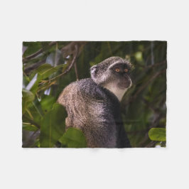 Manta Polar Mono azul, Zanzíbar