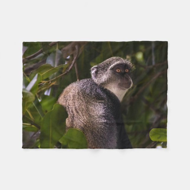 Manta Polar Mono azul, Zanzíbar (Frente (Horizontal))