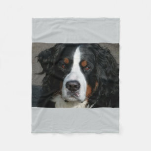 Manta Polar montaña bernese dog.png