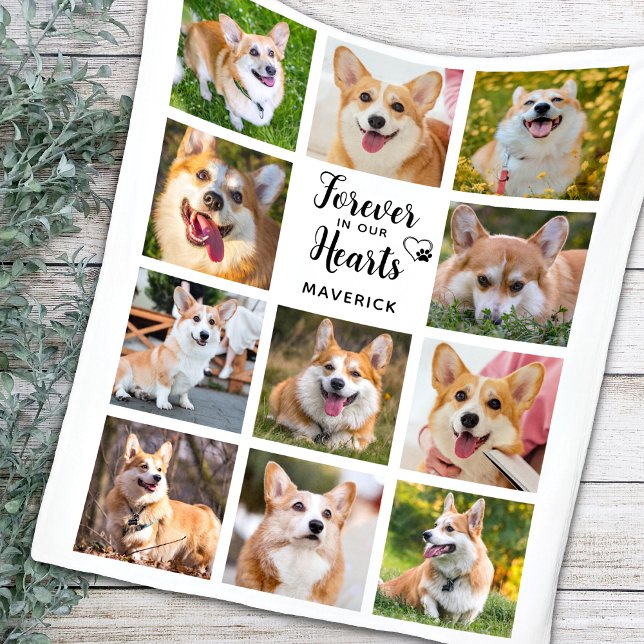 Manta Polar Monumento al Perro Para Siempre En Nuestro Collage (Subido por el creador)