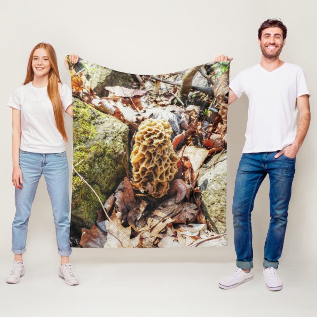 Manta Polar Morel Mushroom en el salvaje (In situ)