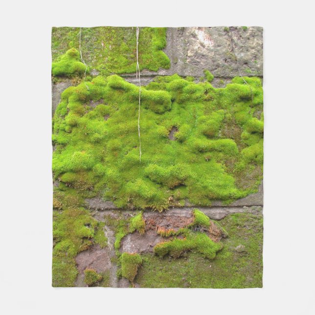 Manta Polar Moss wall green rock texture (Anverso)