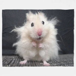 MANTA POLAR MÚN DÍA DEL PELO DE HAMPSTER