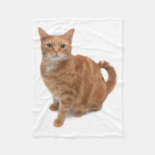 Manta Polar Naranja Cat Standing