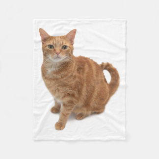 Manta Polar Naranja Cat Standing