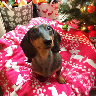 Manta Polar Navidades de la Feria Rosa Dachshund en la Isla