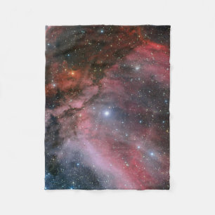 Manta Polar Nebulosa de Carina alrededor de la estrella WR 22
