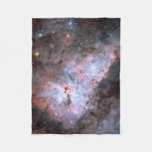 Manta Polar Nebulosa de Carina por ESO