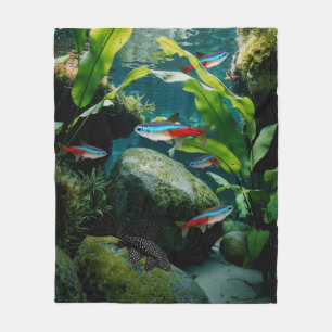 Manta Polar Neon Tetras Plecostomus Aquarium Fish Tank Lovers