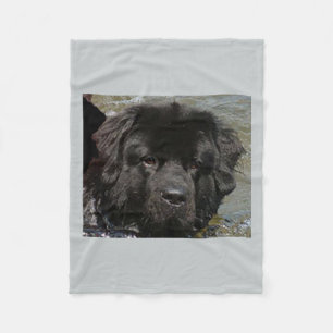 Manta Polar newfie.png negro