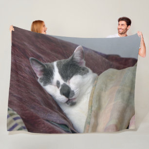 Manta Polar Nomenclatura de gatos