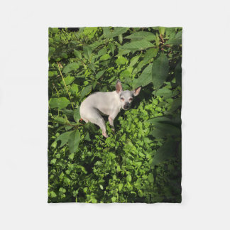 Manta Polar nymph pearl