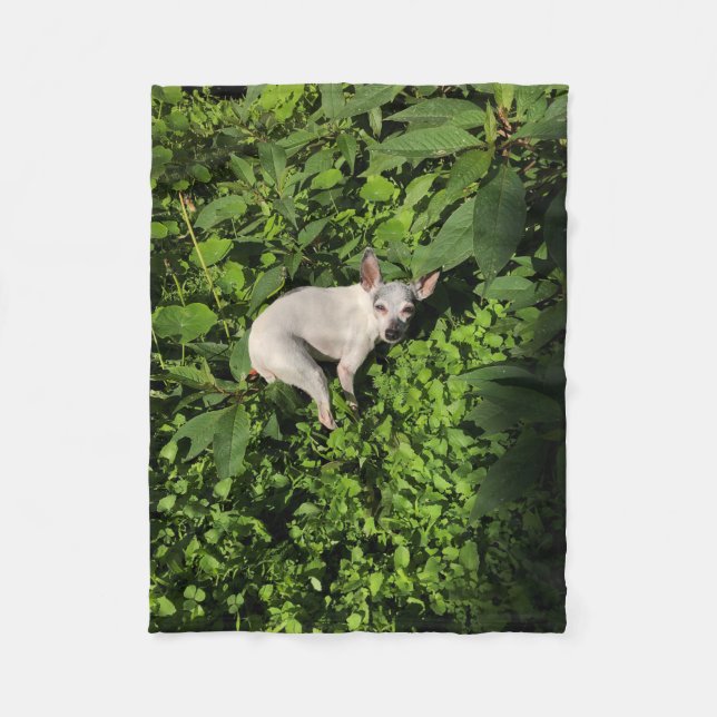 Manta Polar nymph pearl (Anverso)