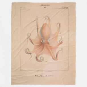 Manta Polar Octopus vintage 1851 Eledon Aldrovandi