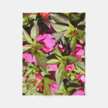 Ocupado Lizzie rosa y verde