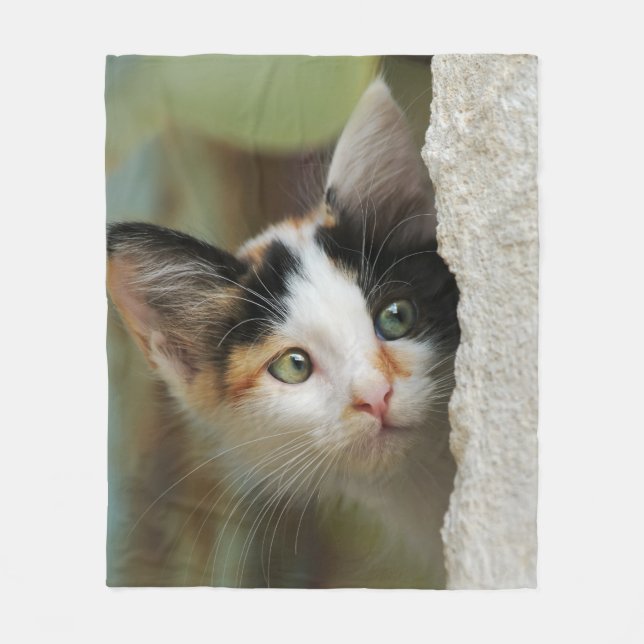 Manta Polar Ojos que alzapriman del gatito curioso lindo, (Anverso)