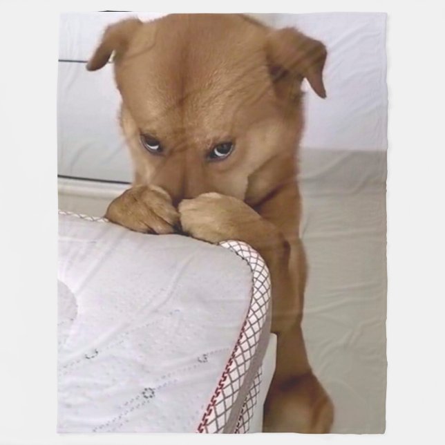 MANTA POLAR ORACIONES DE PERRO (Anverso)