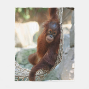 Manta Polar OrangUtan 001