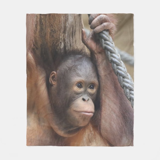 Manta Polar OrangUtan 002 (Anverso)