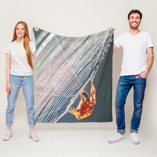 Manta Polar Orb Spider on Web  (In situ)