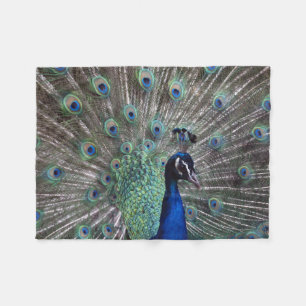 Manta Polar Orgullo de Peacock