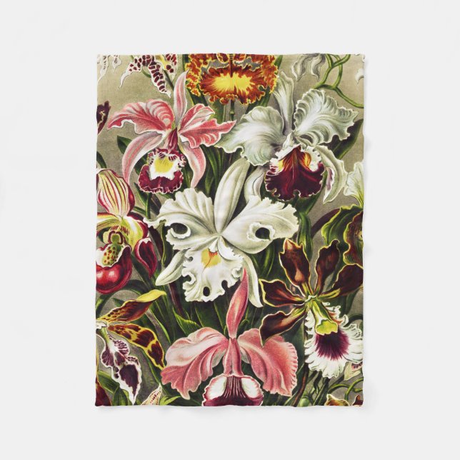 Manta Polar Orquídeas Orchideae Denusblumen Ernst Haeckel (Anverso)