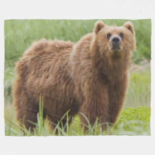 MANTA POLAR OSO DE KODIAK