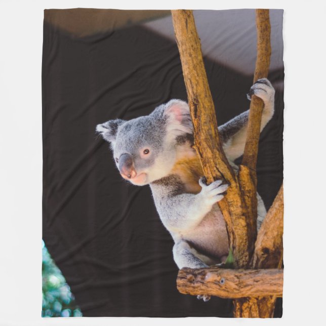 MANTA POLAR OSO DE KOWALA (Anverso)