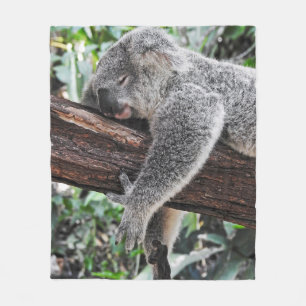 MANTA POLAR OSO KOALA DURMIENDO EN ÁRBOL