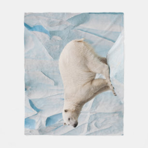 Manta Polar Oso Polar: Vistazo al Zoo Habitat