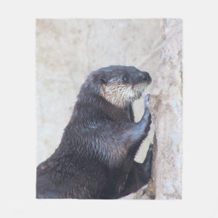 Manta Polar Otterly Sleek