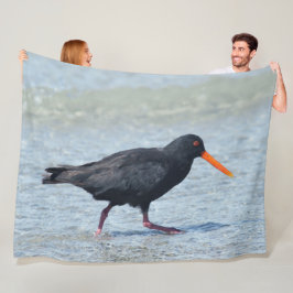 MANTA POLAR OYSTERCATCHER