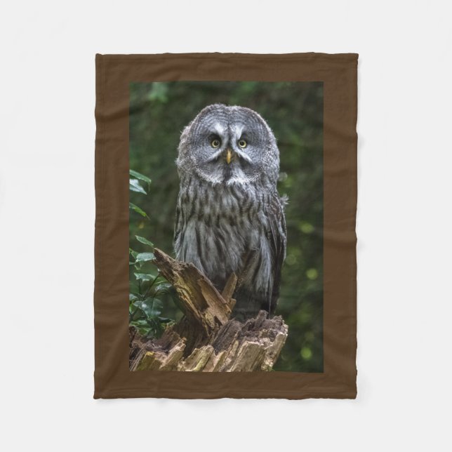 Manta Polar Pájaros de la fotografía del búho de gran gris de (Anverso)