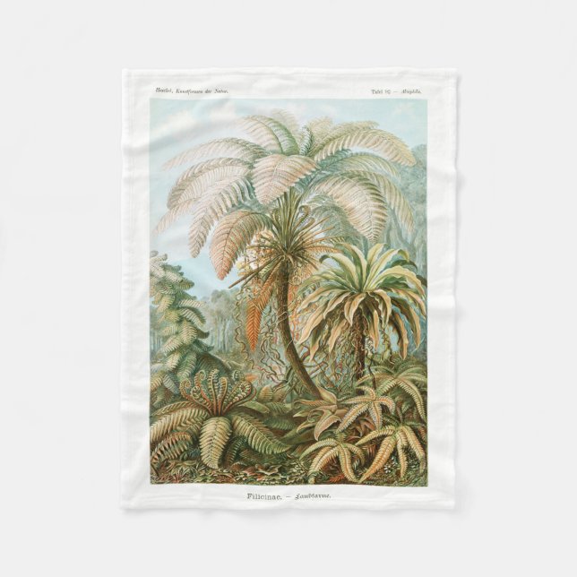 Manta Polar Palm Tree Ernst Haeckel (Anverso)