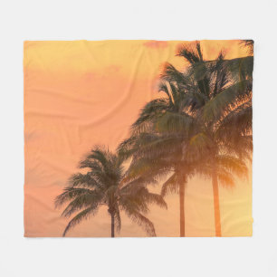 Manta Polar Palmas de Miami