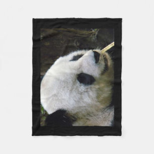 Manta Polar Panda