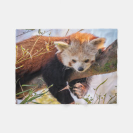 Manta Polar Panda rojiza perezosa