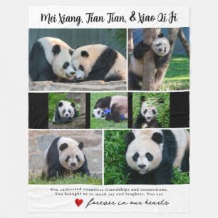 Manta Polar Pandas gigantes de DC "In Our Heart"