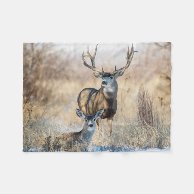 Manta Polar Pareja Buck | Mule Deer (Frente (Horizontal))