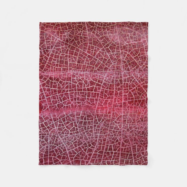 Manta Polar Parque nacional Valle de la Muerte (Anverso)