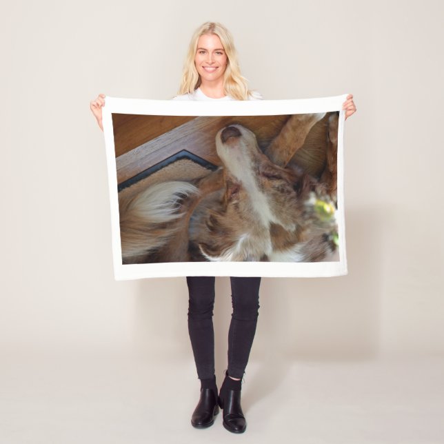 Manta Polar pastor australiano de merle rojo durmiendo (In situ)