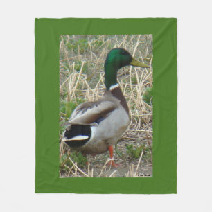 Manta Polar Pato macho Mallard B12