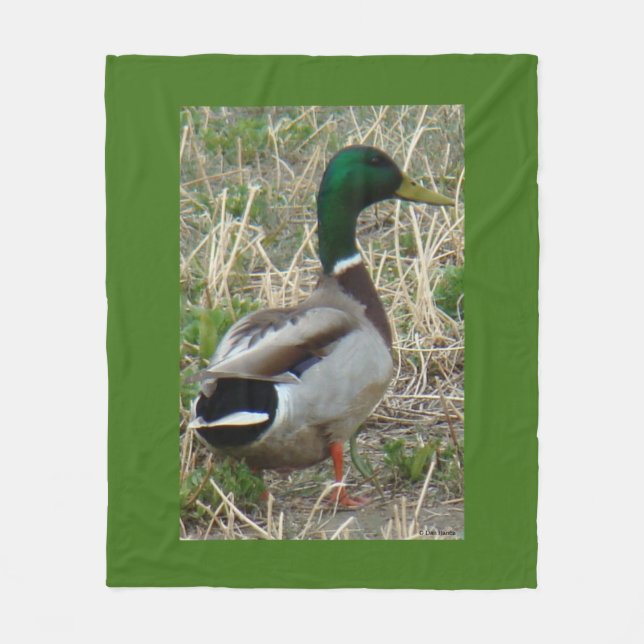 Manta Polar Pato macho Mallard B12 (Anverso)