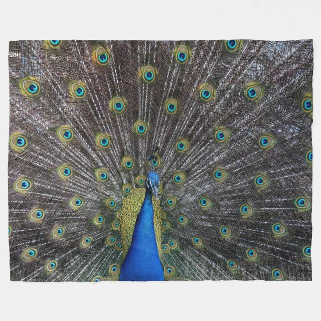 Manta Polar pavo real (Frente (Horizontal))