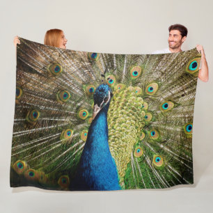 Manta Polar Pavo real tímido