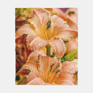 Manta Polar Peach Daylily