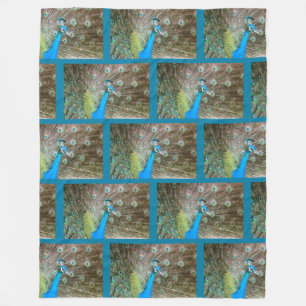 Manta Polar Peacock con plumas hinchadas - Foto de aves silves